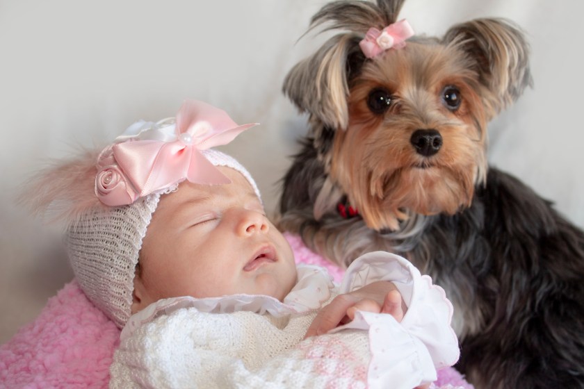 miryclicksphotofraphy