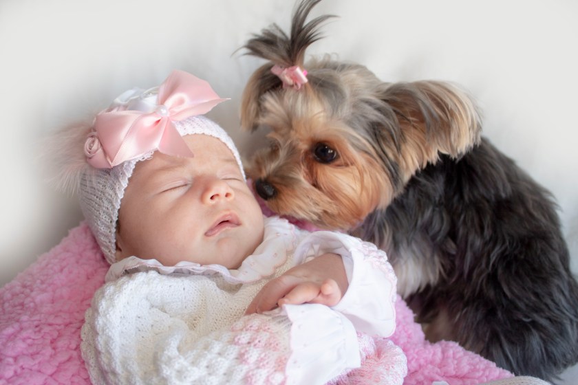 miryclicksphotofraphy